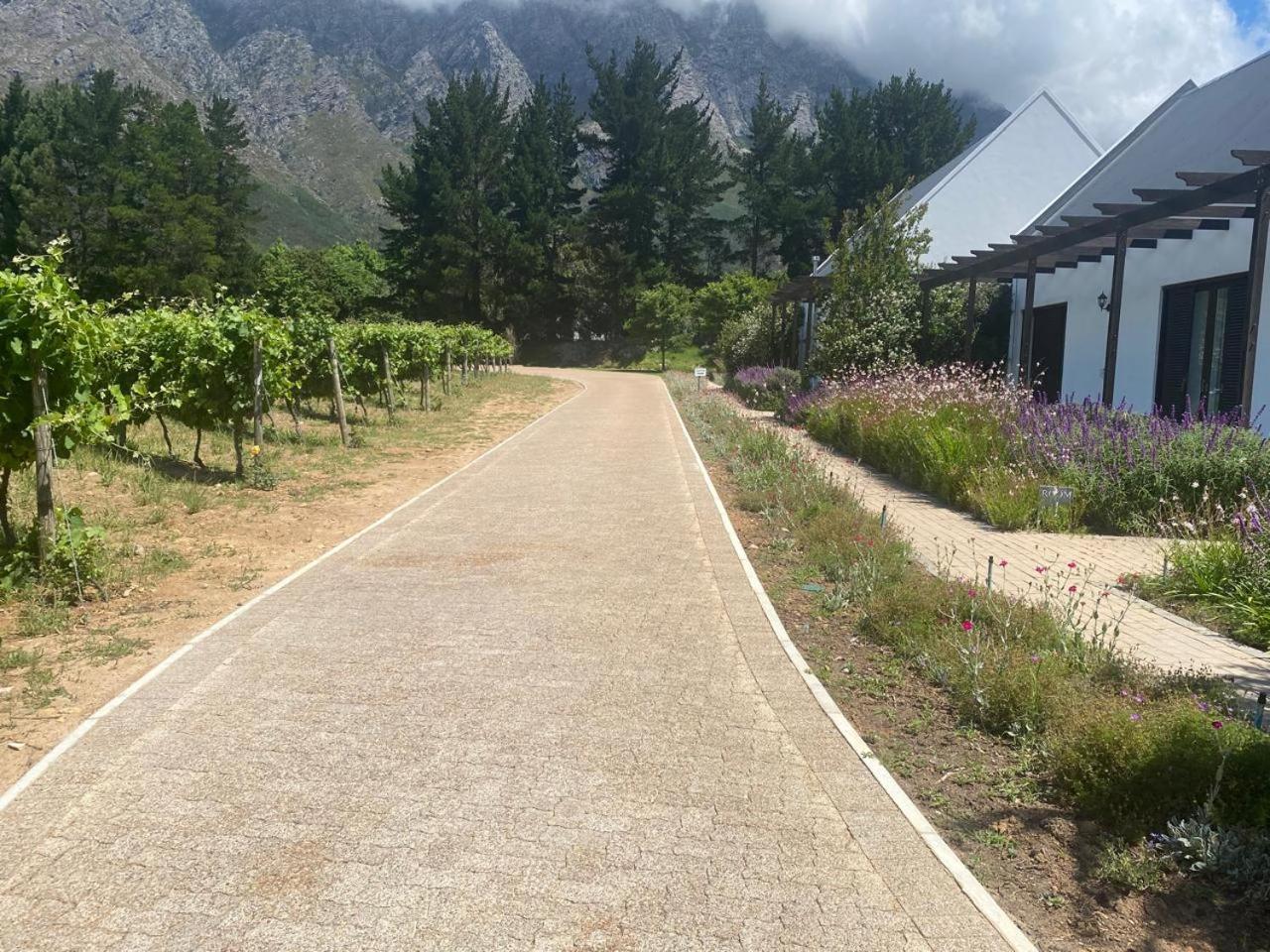 弗朗斯胡克Chambray Estate - The Terraces In The Vines住宿加早餐旅馆 外观 照片